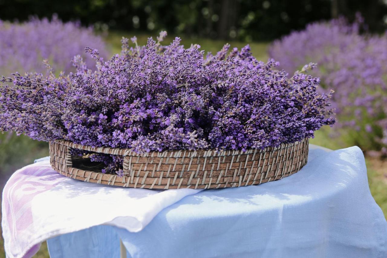 Lavender Village Kiemeliai Esterno foto