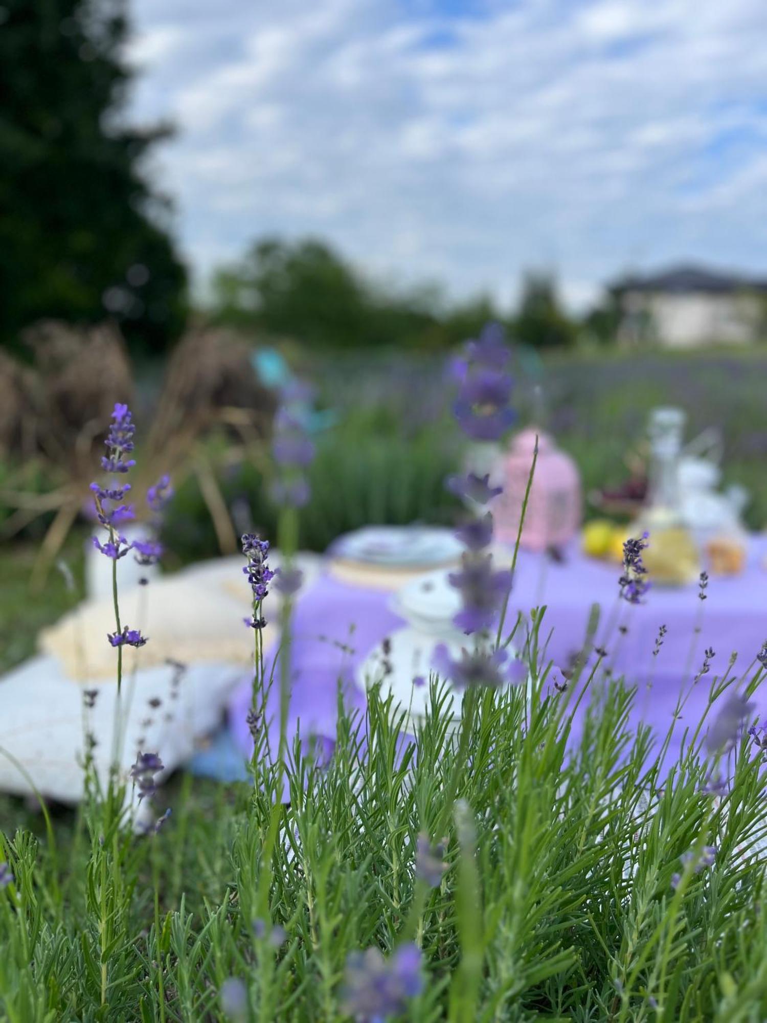 Lavender Village Kiemeliai Esterno foto
