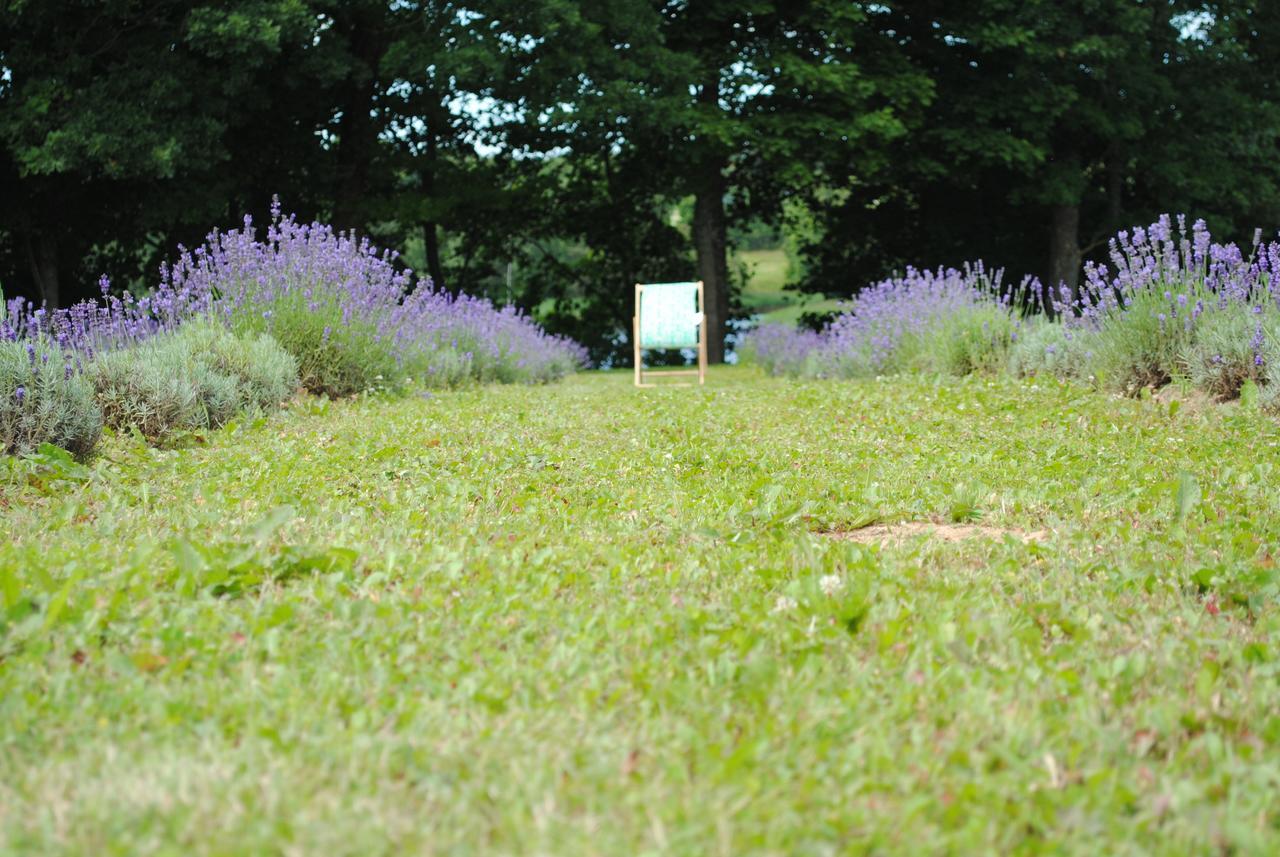 Lavender Village Kiemeliai Esterno foto