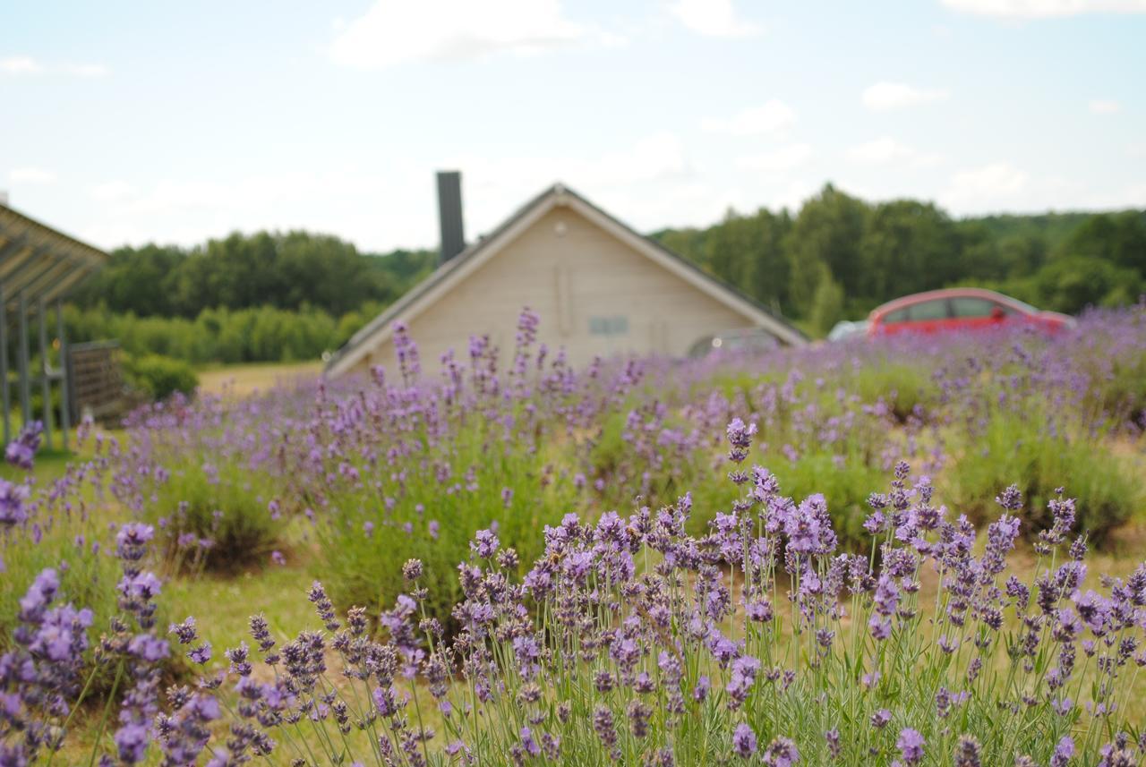 Lavender Village Kiemeliai Esterno foto