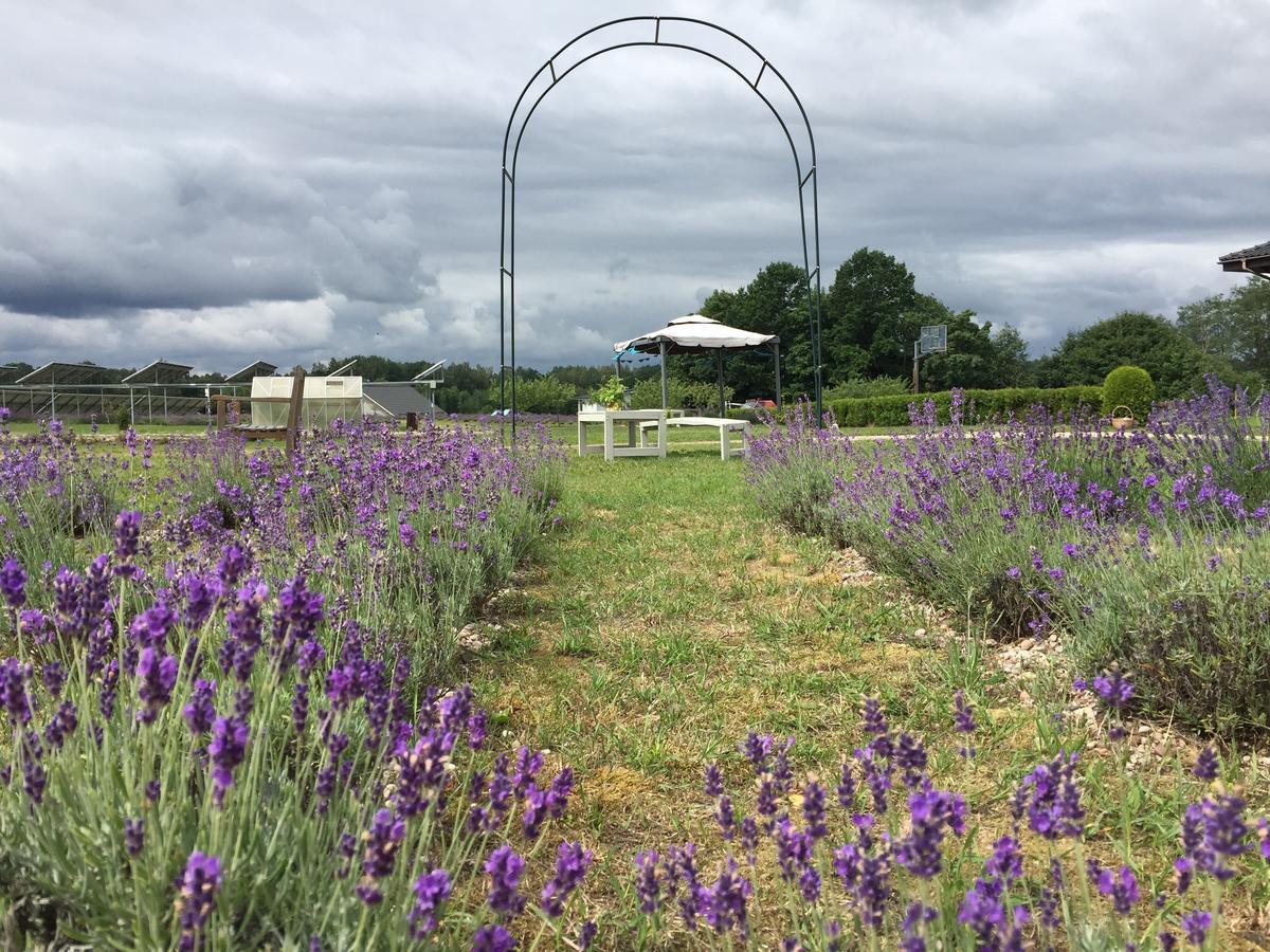 Lavender Village Kiemeliai Esterno foto