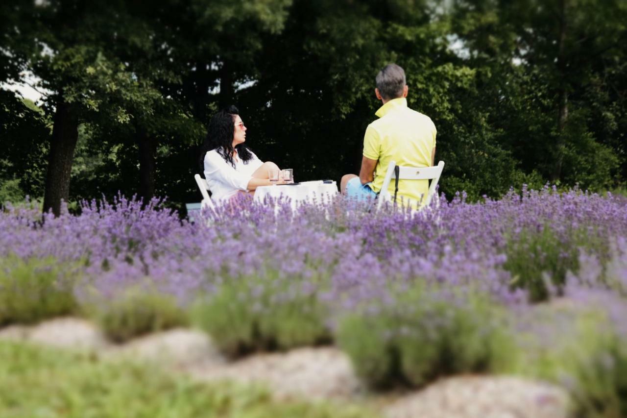 Lavender Village Kiemeliai Esterno foto